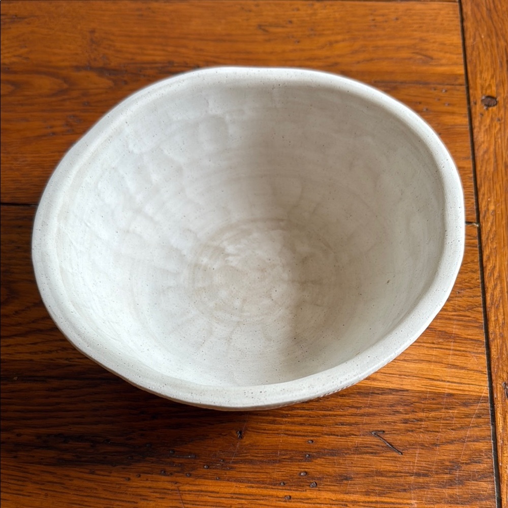 Ceramic Dog Feeder Bowl